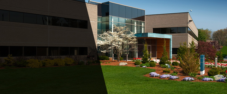Springdale Landscapers