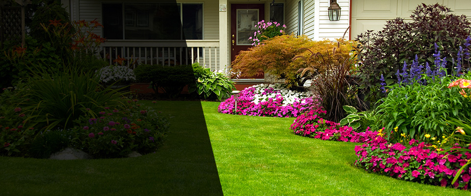 Springdale Landscapers